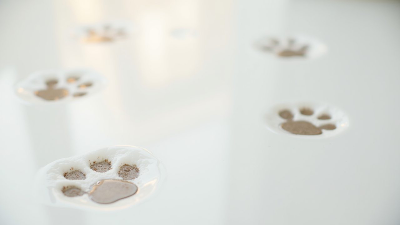Watercolor illustration of small abstract paw print shapes scattered on cream paper, top-down still life, no text, soft earth tones